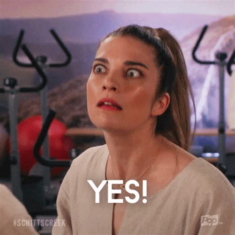 yes gif funny|please say yes gif.